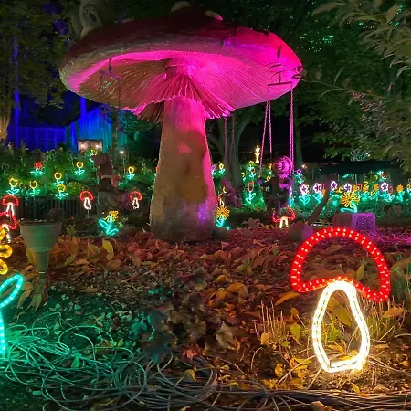 Panoramic Seeschwalbe - Pool - Familien - Strandnah - Hunde Lejlighed